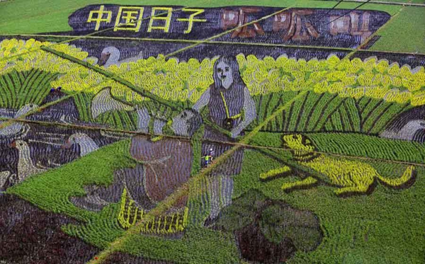 巨幅“3D稻田畫”亮相沈陽 巨幅“3D稻田畫”亮相沈陽